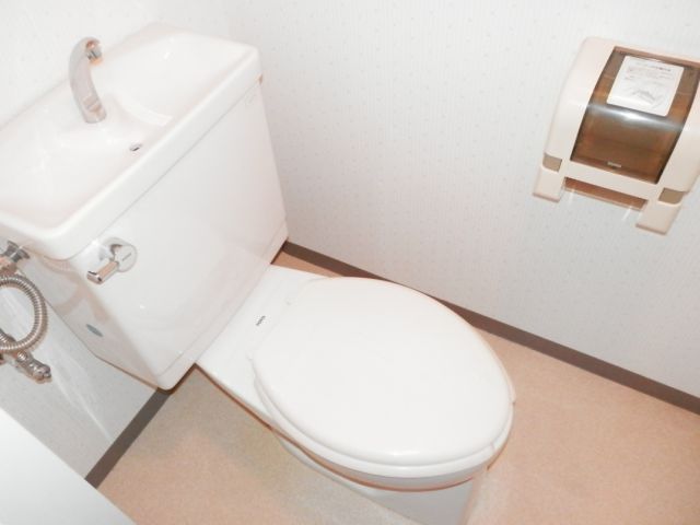 Toilet. Toilet
