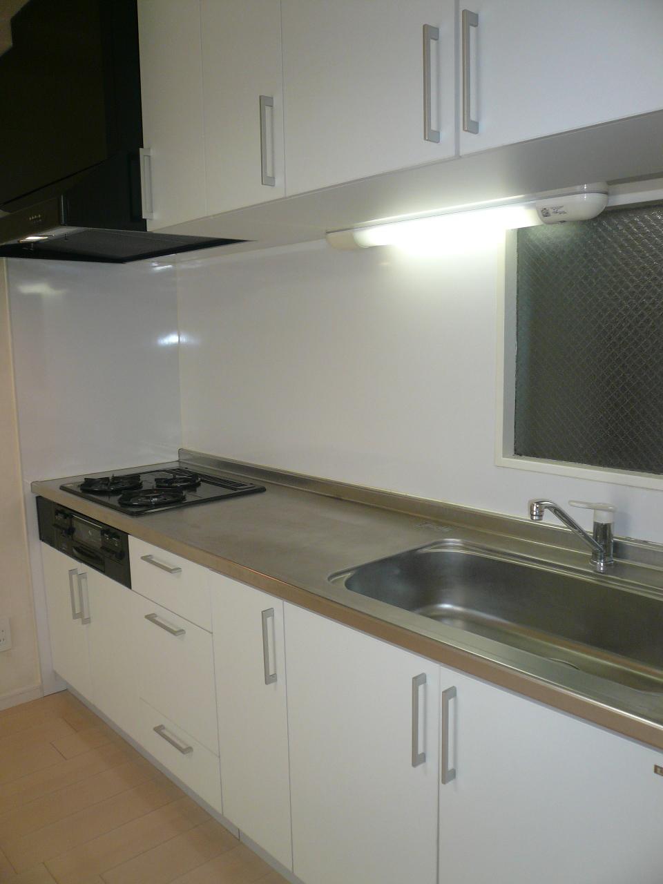 Kitchen. Indoor (12 May 2013) Shooting