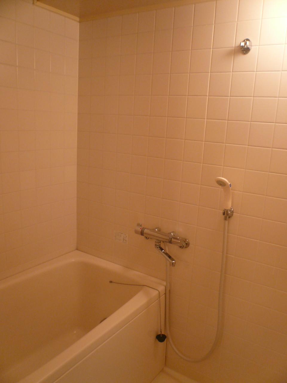 Bathroom. Indoor (12 May 2013) Shooting