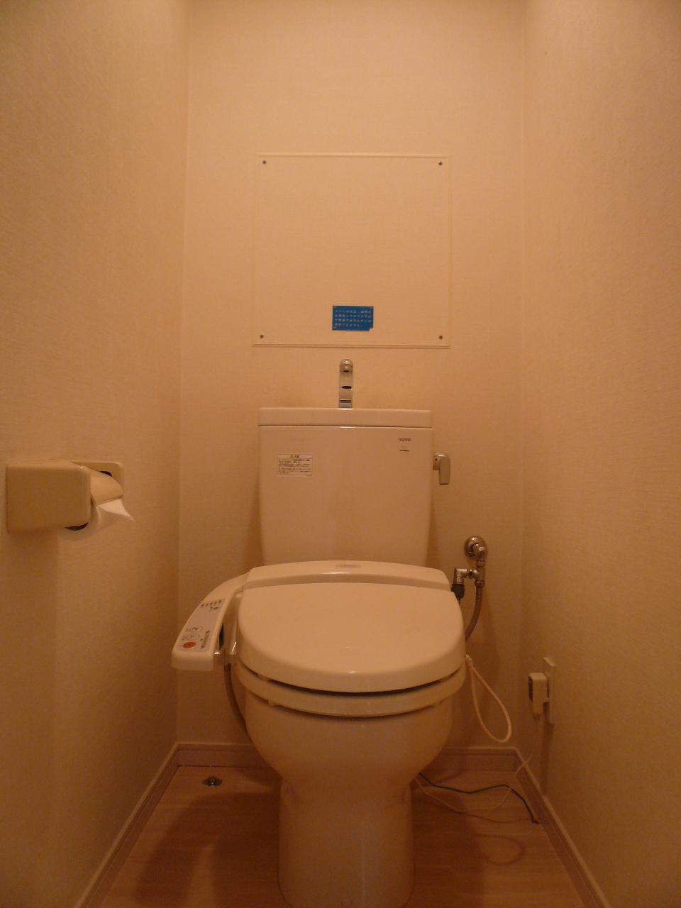Toilet. Indoor (12 May 2013) Shooting