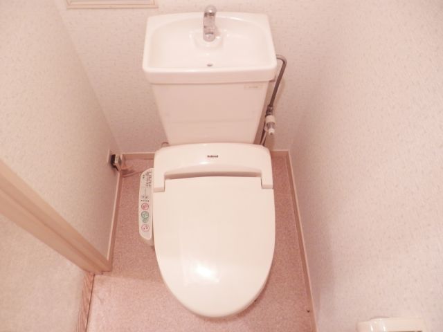 Toilet. Toilet