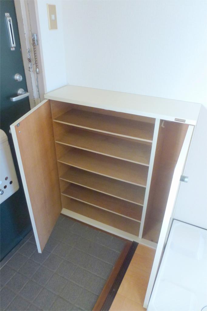 Entrance. Shoes BOX