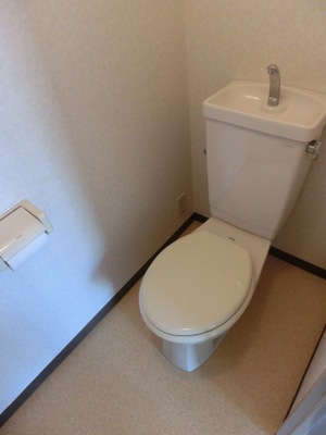 Toilet. Toilet