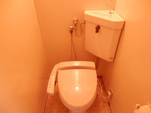 Toilet. Toilet
