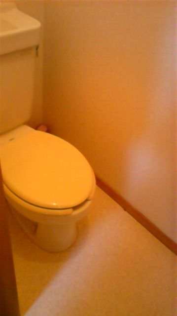 Toilet. Toilet