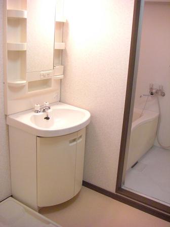 Other. Vertical photo Independent wash basin