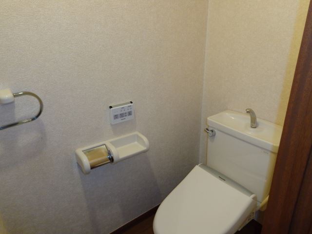 Toilet. Bidet
