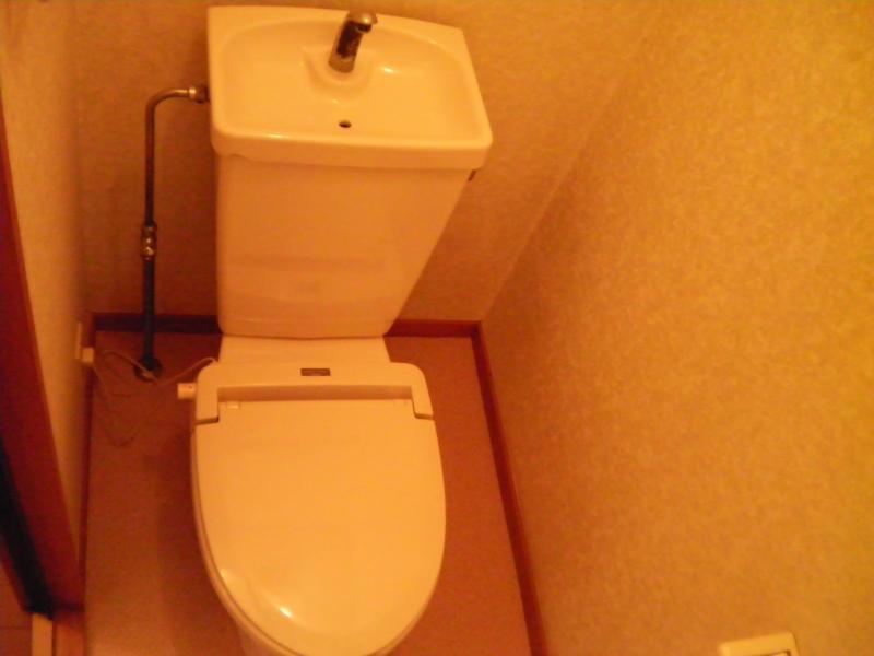 Toilet. Toilet