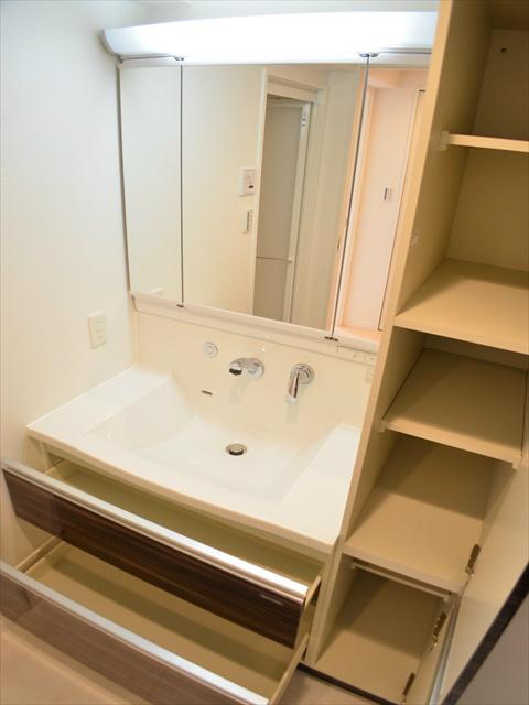 Wash basin, toilet. Convenient storage shelf with