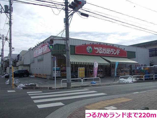 Supermarket. Tsurukame 220m to land (Super)