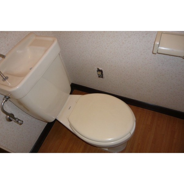Toilet. ※ Photo another compartment