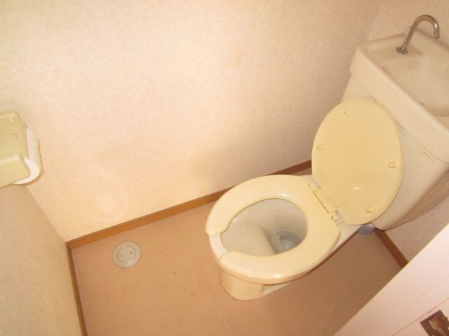 Toilet. Toilet