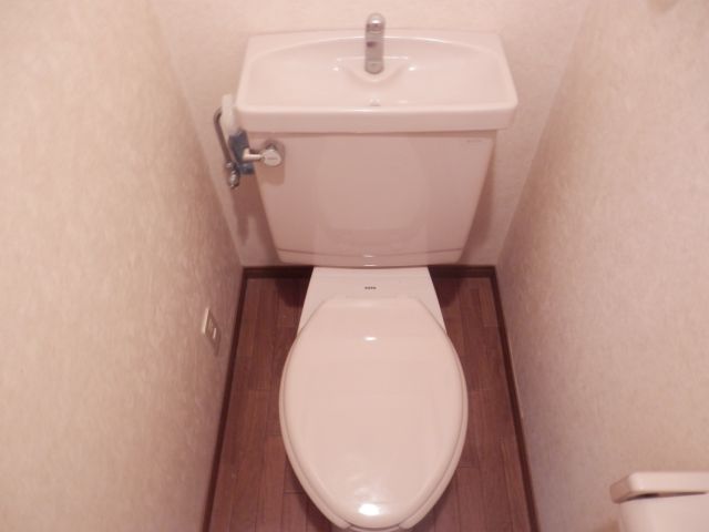 Toilet. Toilet