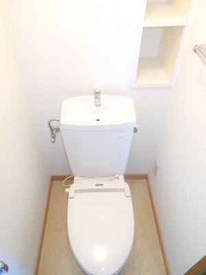 Toilet. Toilet