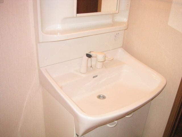 Washroom. Shampoo dresser