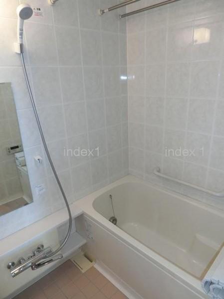 Bathroom. With convenient bathroom dryer even on a rainy day!