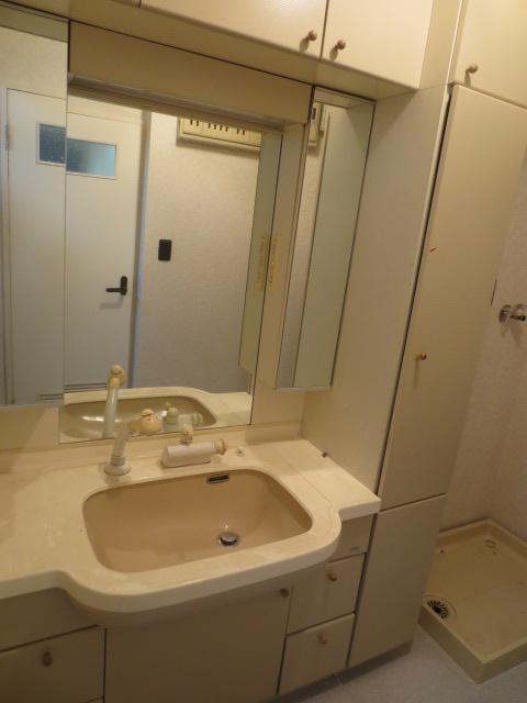 Washroom. Shampoo dresser