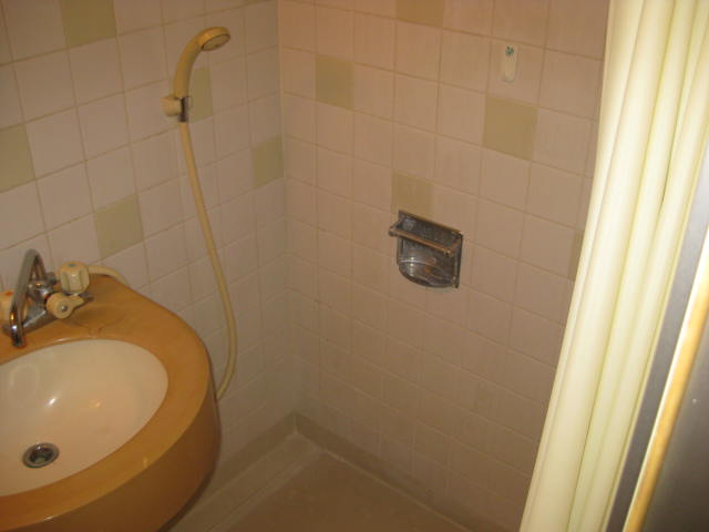 Bath. shower room