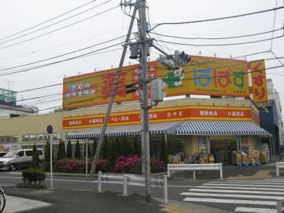 Other. Drug store