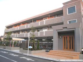 Junior high school