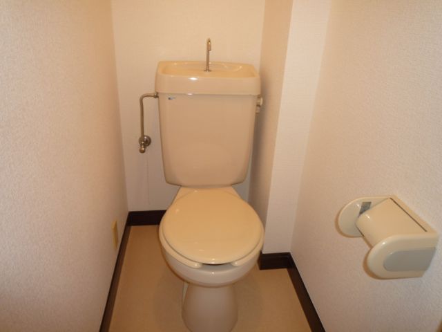 Toilet. Toilet