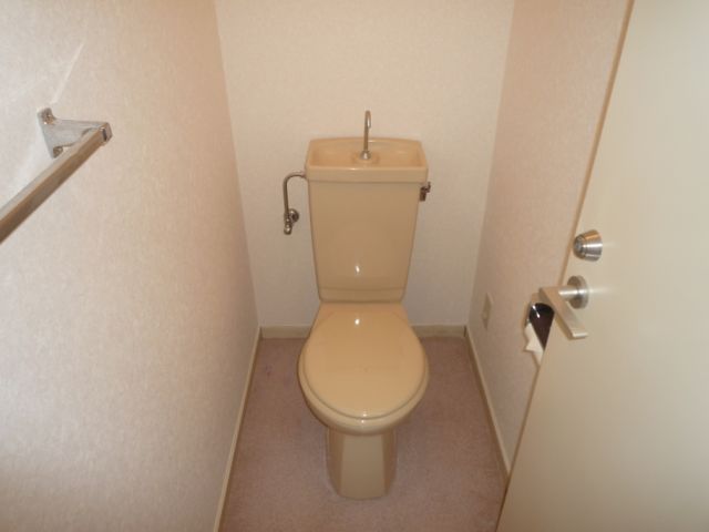 Toilet. Toilet