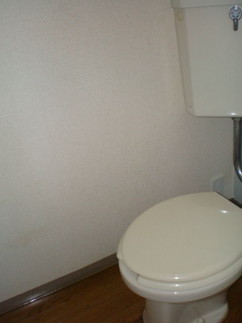 Toilet. Toilet
