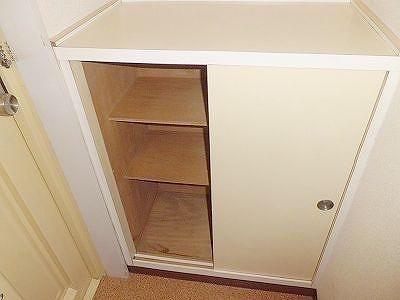 Entrance. Footwear input