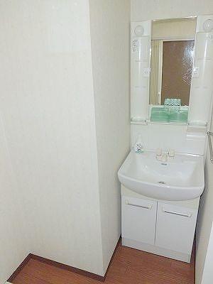 Wash basin, toilet. Bathroom vanity