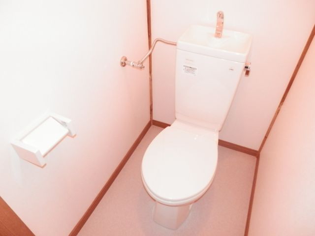 Toilet. Toilet