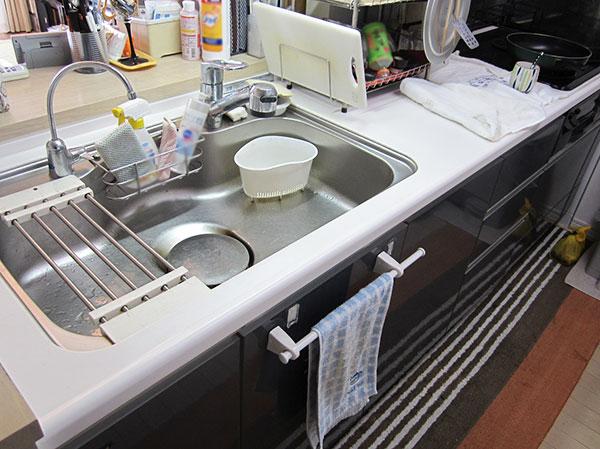 Edogawa-ku, Tokyo Yagochi 2