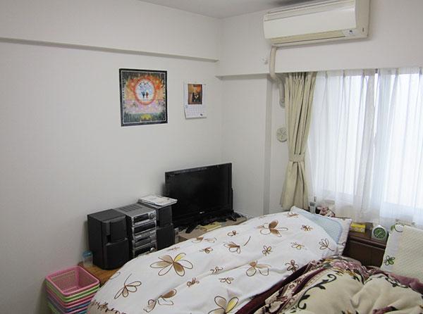 Edogawa-ku, Tokyo Yagochi 2