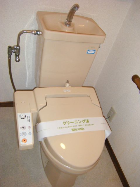 Toilet. Toilet