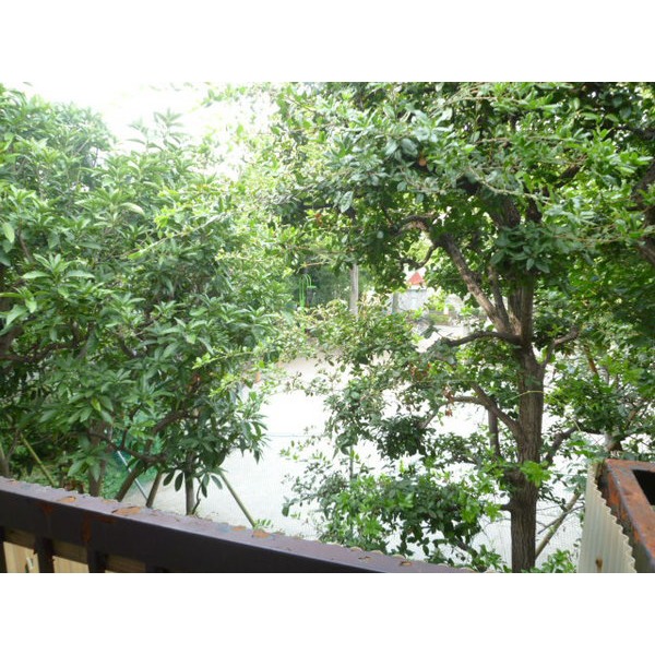 Other common areas