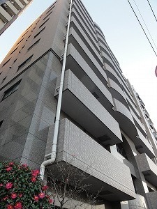 Building appearance