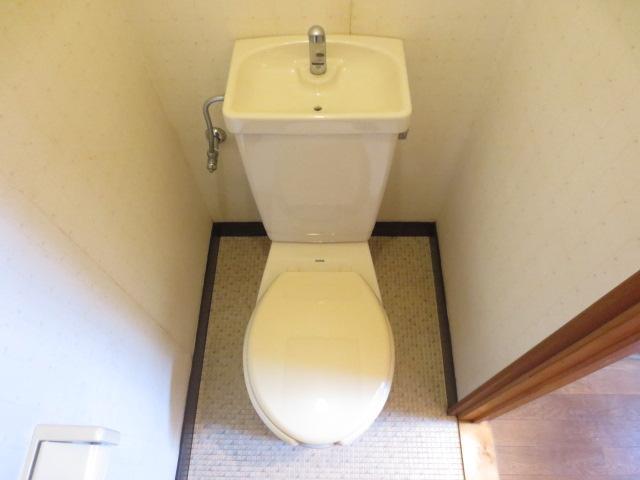 Toilet. Toilet