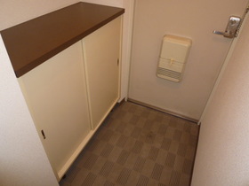 Entrance. Cupboard