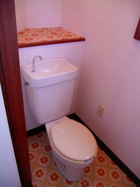 Toilet