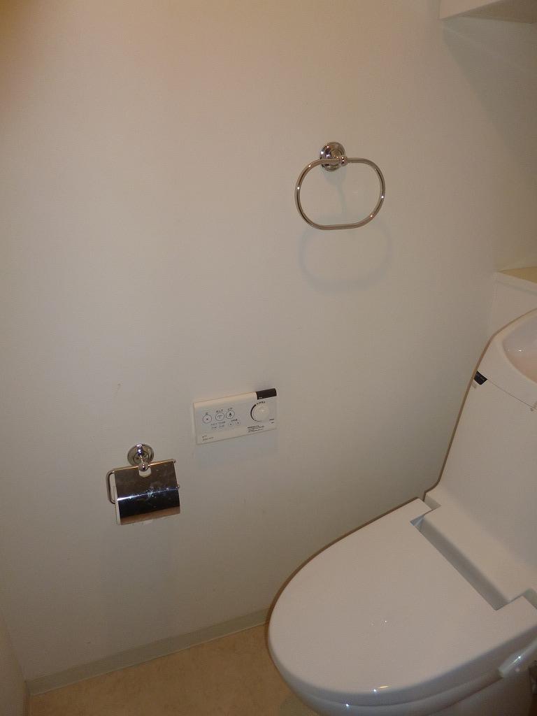 Toilet. Shower toilet