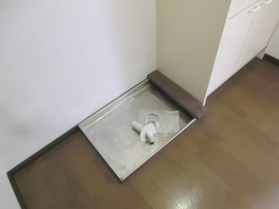 Other. Popular Indoor Laundry Storage.