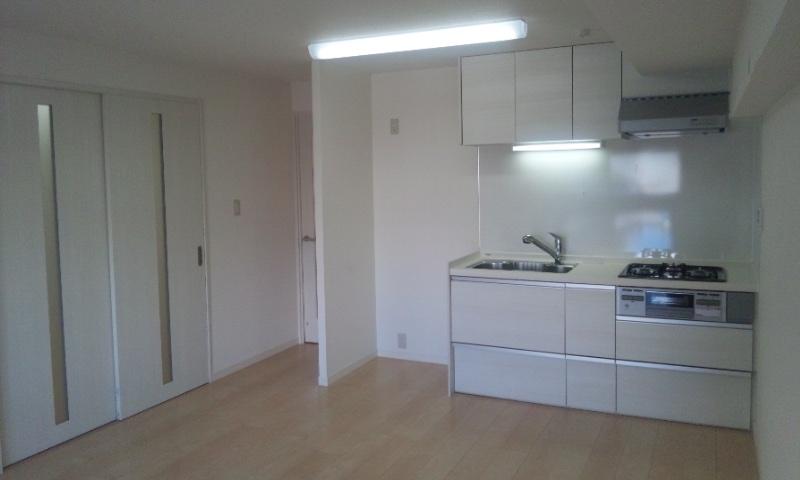 Kitchen. Indoor (11 May 2013) Shooting