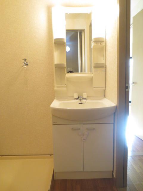 Washroom. Wash basin