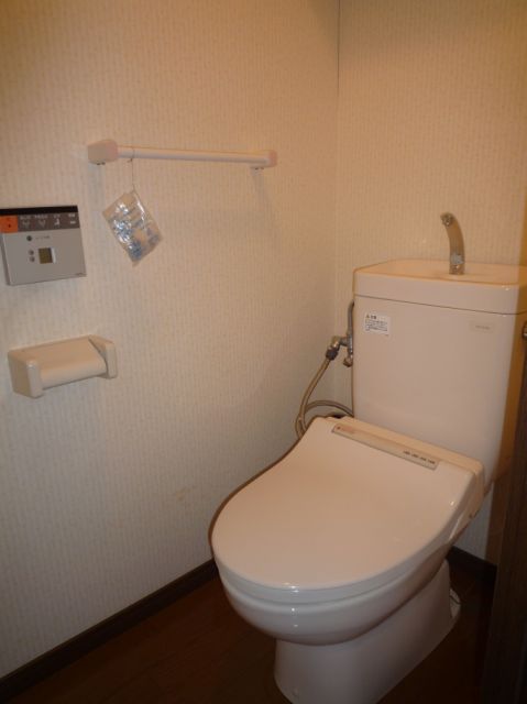 Toilet. Toilet