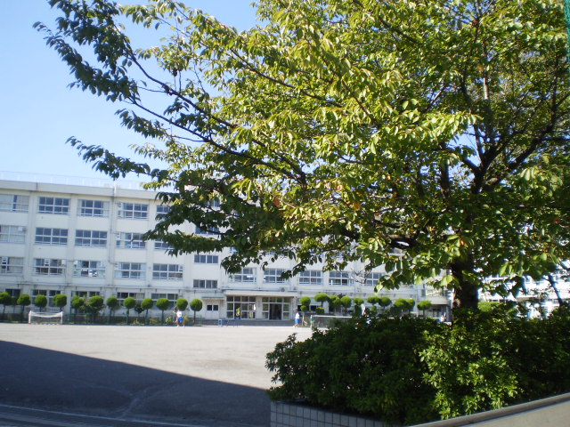Junior high school. 1001m to Koiwa fourth junior high school (junior high school)