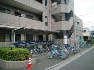 Other common areas. «Bicycle»