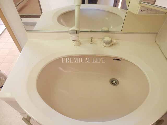 Wash basin, toilet. «Vanity»