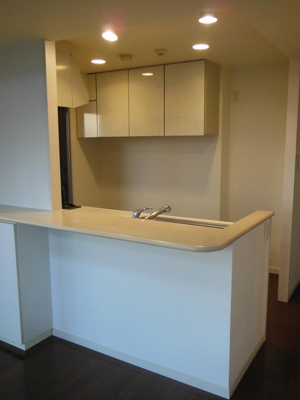 Kitchen. Indoor (11 May 2013) Shooting