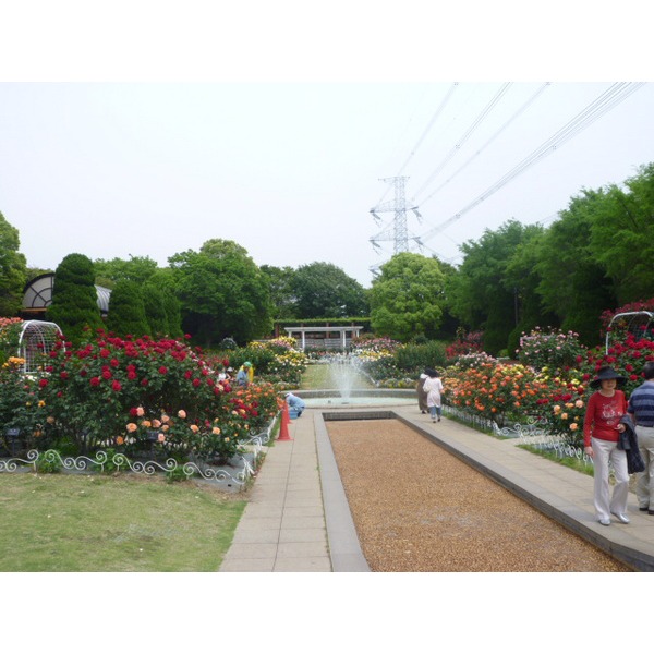 park. Horie 774m to the park (park)