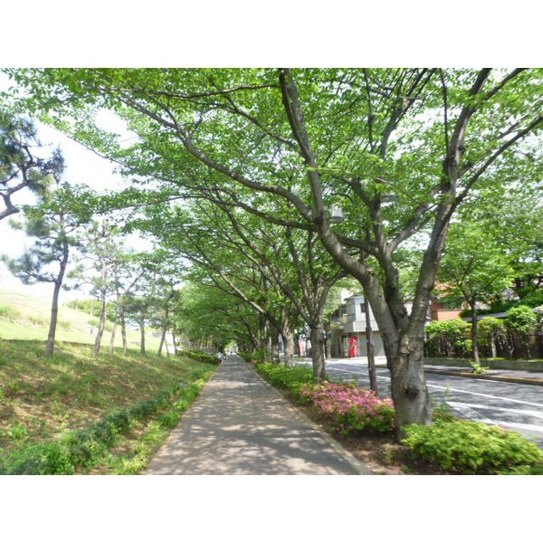 park. Horie 774m to the park (park)