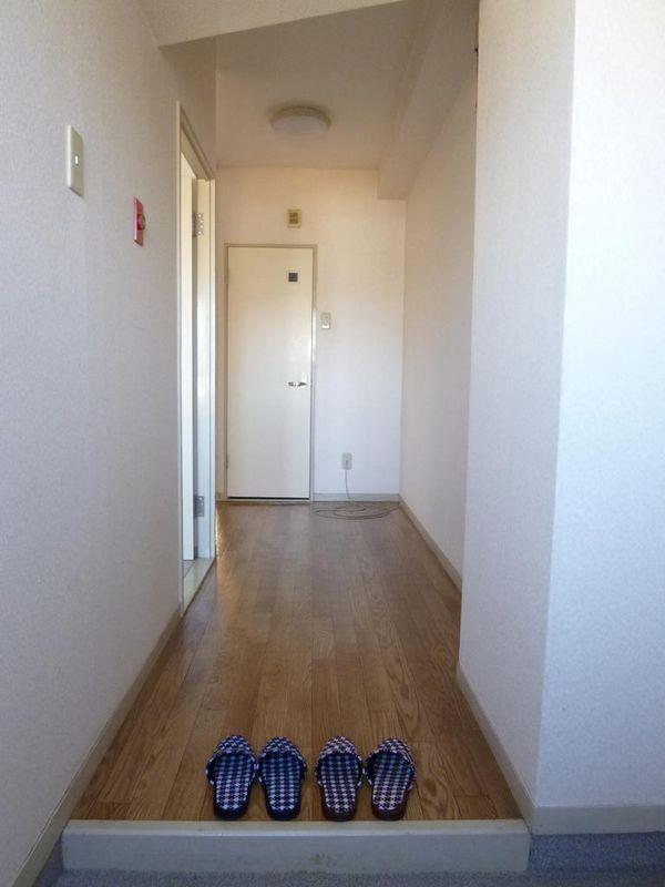 Entrance. Corridor as seen from the front door